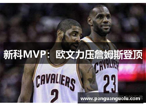 新科MVP：欧文力压詹姆斯登顶